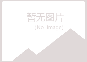 阳山县冰兰音乐有限公司